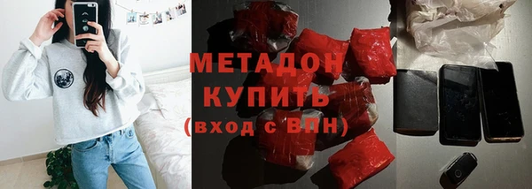 прущие грибы Переславль-Залесский