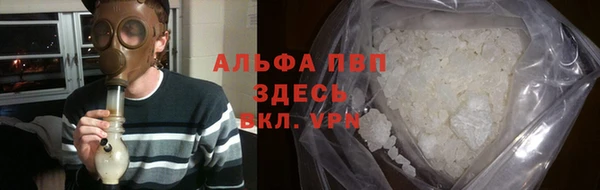 прущие грибы Переславль-Залесский