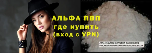 прущие грибы Переславль-Залесский