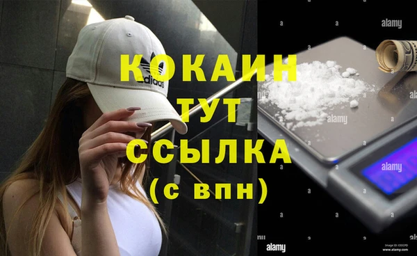 прущие грибы Переславль-Залесский