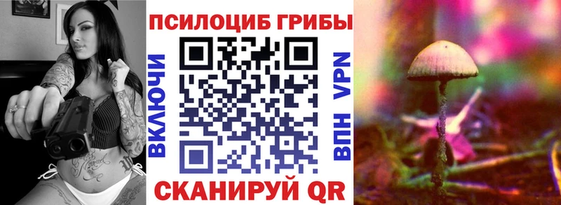Галлюциногенные грибы Psilocybine cubensis  закладки  Кизилюрт 