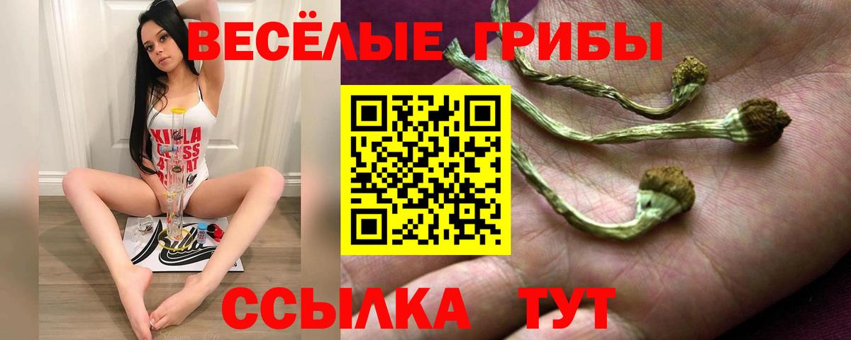 Кизилюрт  Псилоцибиновые грибы мухоморы  Вход с VPN  Галлюциногенные грибы мухоморы 