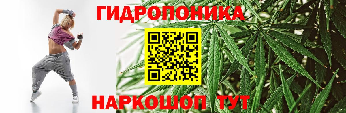 Бошки Шишки OG Kush Кизилюрт